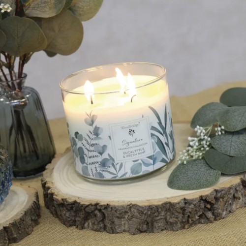 Eucalyptus & Fresh Mint 3 wick Candle 410g